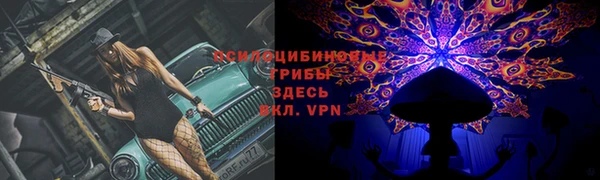синтетический гашиш Алексин