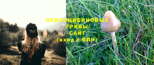 дмт Абдулино