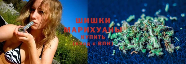 шишки Алзамай