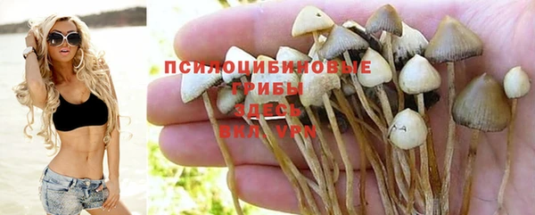 дмт Абдулино